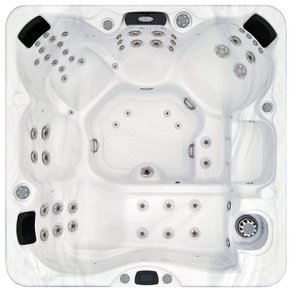 Avalon-X EC-867LX hot tubs for sale in Athens Clarke