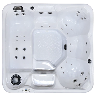 Hawaiian PZ-636L hot tubs for sale in Athens Clarke